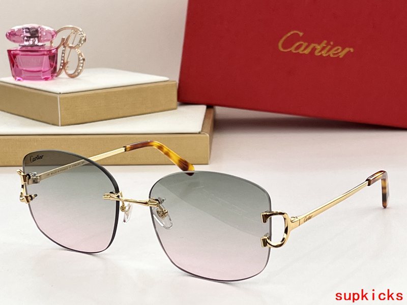 Side view of Cartier unisex sunglasses