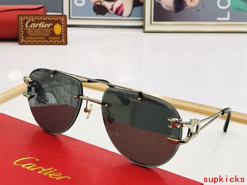 Side view of Cartier unisex sunglasses