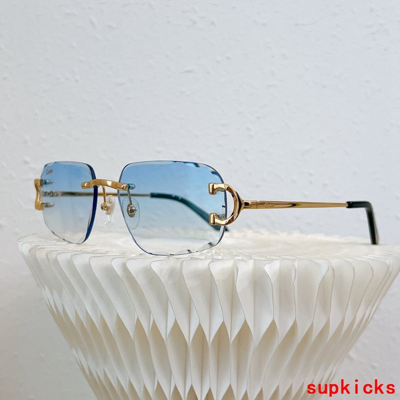 Front view of Cartier unisex sunglasses