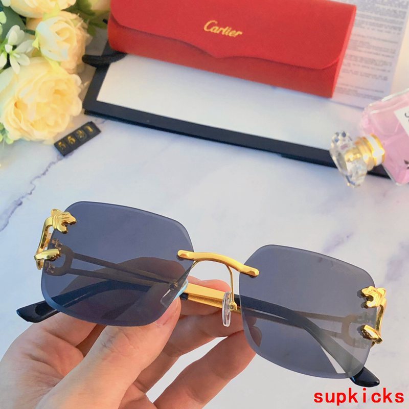 Front view of Cartier unisex sunglasses