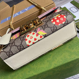 Close-up detail of refined polished women's handbag – women's premium purse