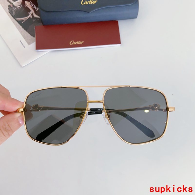 Full view of Cartier unisex sunglasses