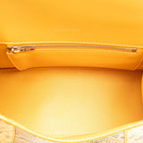 Balenciaga designer handbag python closeup detail