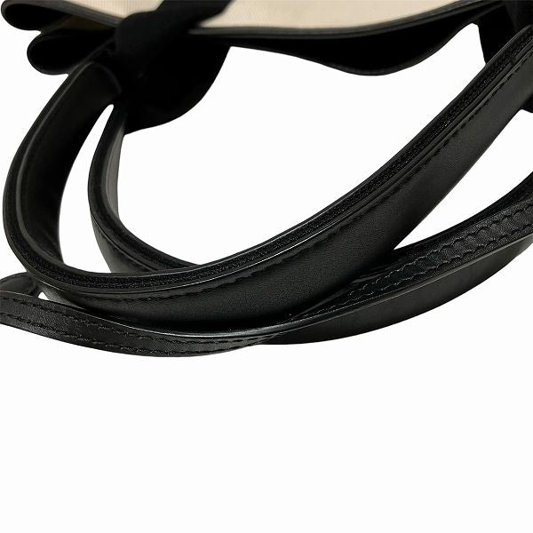 Balenciaga designer tote bag leather closeup detail