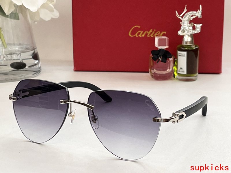 Lifestyle view of Cartier unisex sunglasses