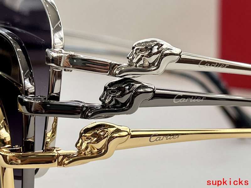 Side view of Cartier unisex sunglasses