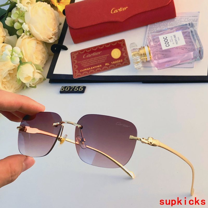 Side view of Cartier unisex sunglasses