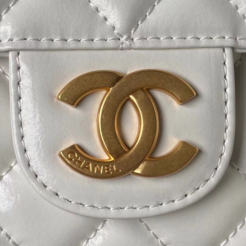 Zivas Charm Elevated Essentials Designer Handbag (Elevated Daily Companion) – Close-Up Detail