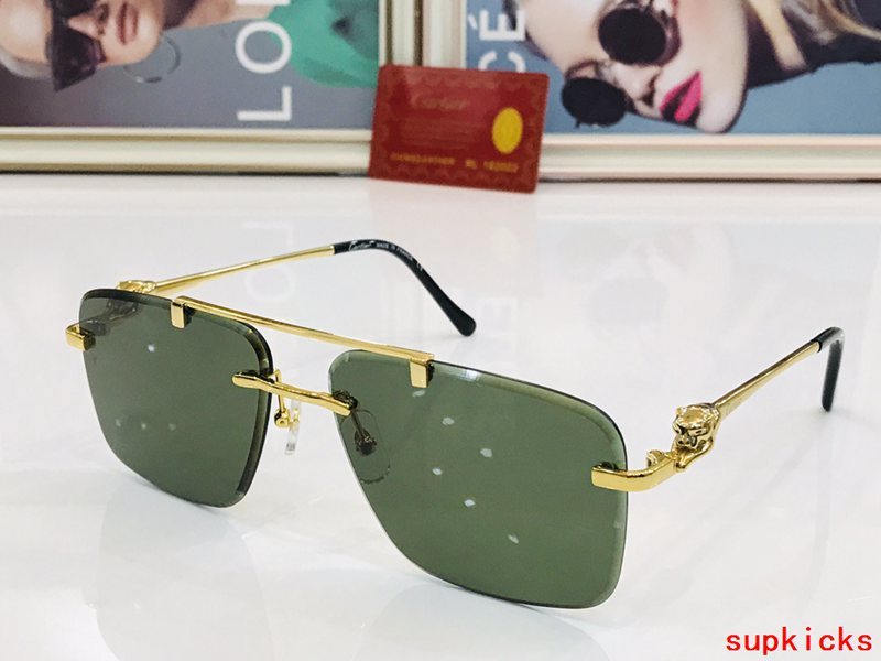 Full view of Cartier unisex sunglasses