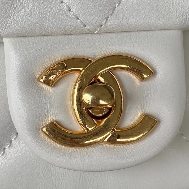 Zivas Charm Effortless Elegance Designer Handbag (Statement-Ready Design) – Close-Up Detail