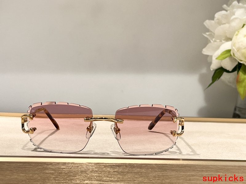 Front view of Cartier unisex sunglasses