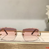 Front view of Cartier unisex sunglasses
