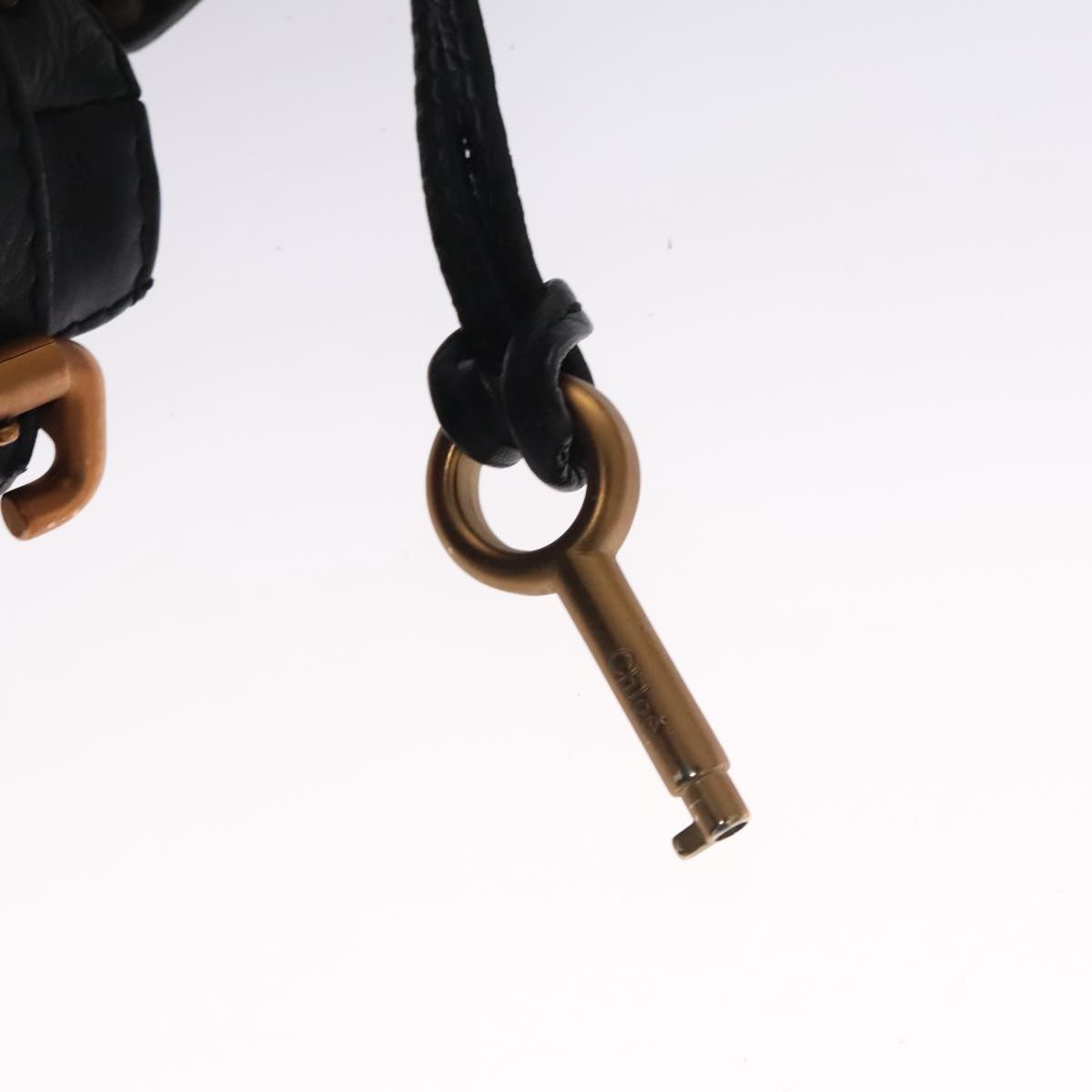 Zelvavane elegant leather Handbag flat lay view