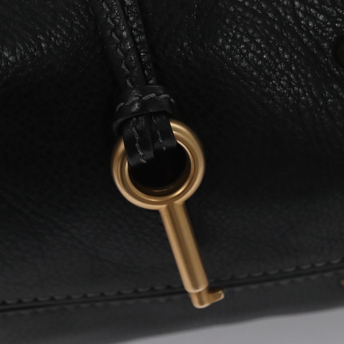 Chloe women's handbag Black luxury designer leather