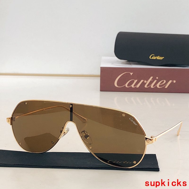 Side view of Cartier unisex sunglasses
