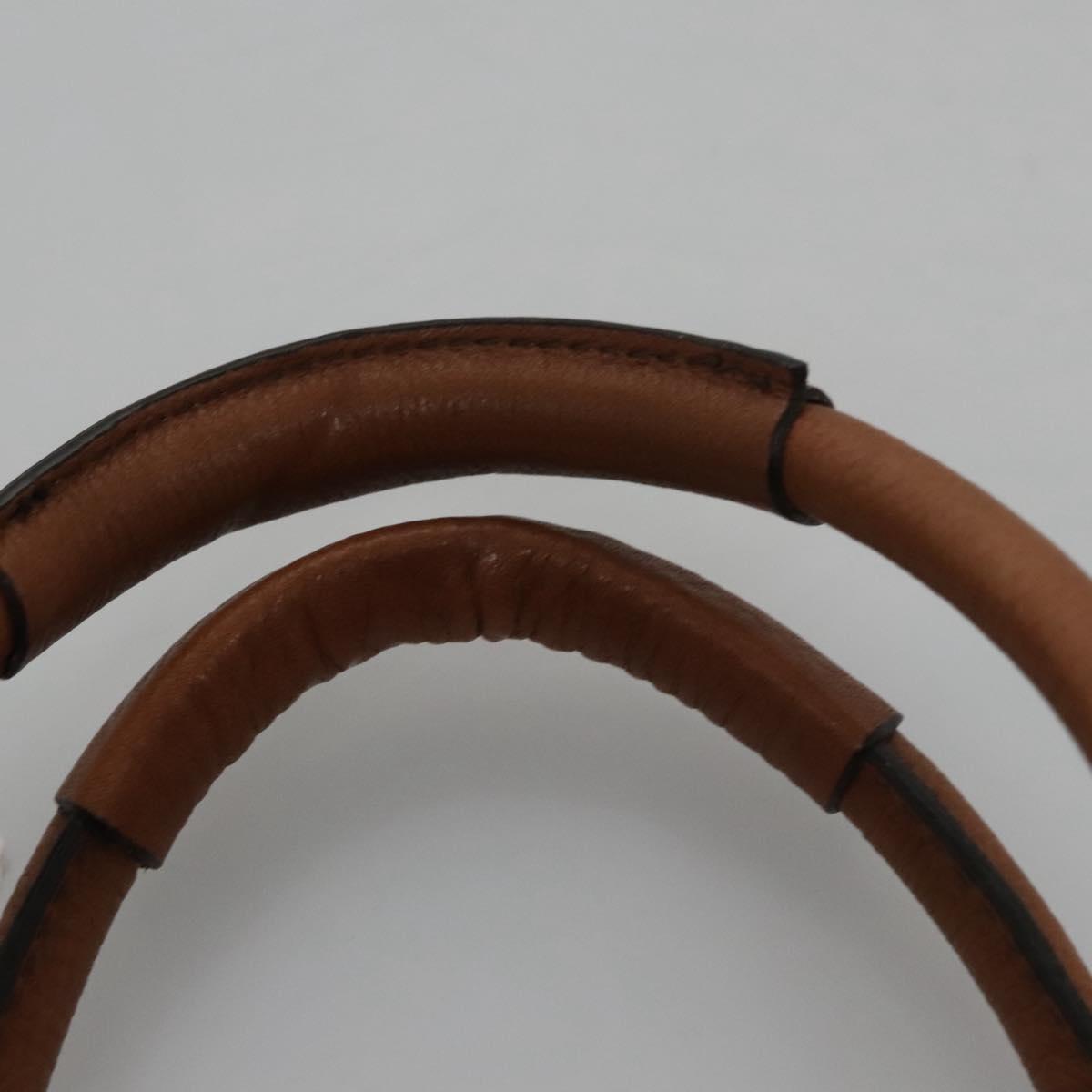 Chloe designer handbag leather closeup detail