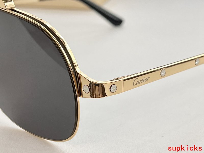 Close-up detail view of Cartier unisex sunglasses