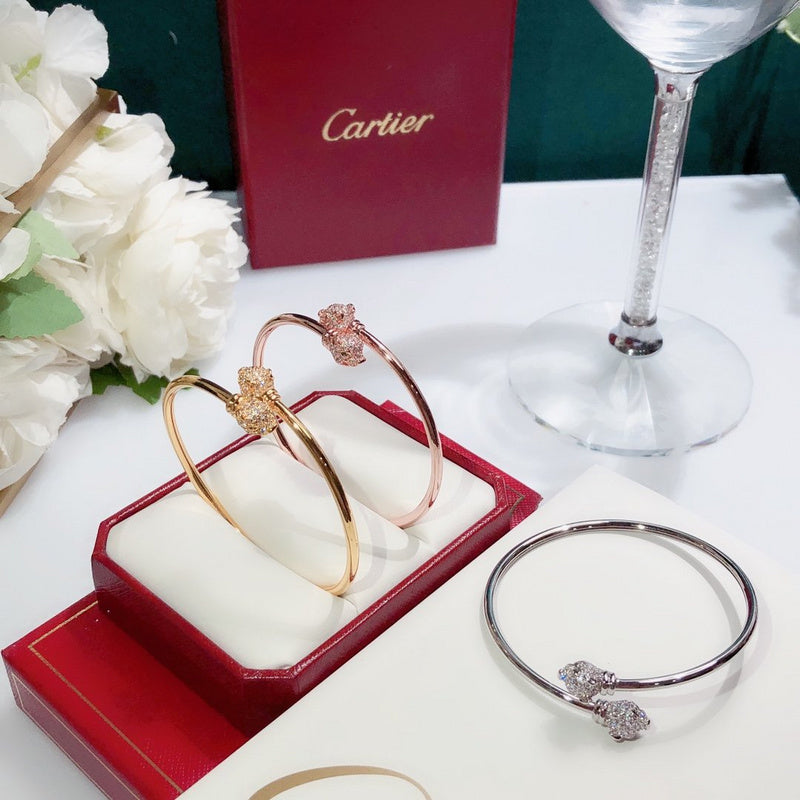 Side view of Cartier unisex jewelry piece