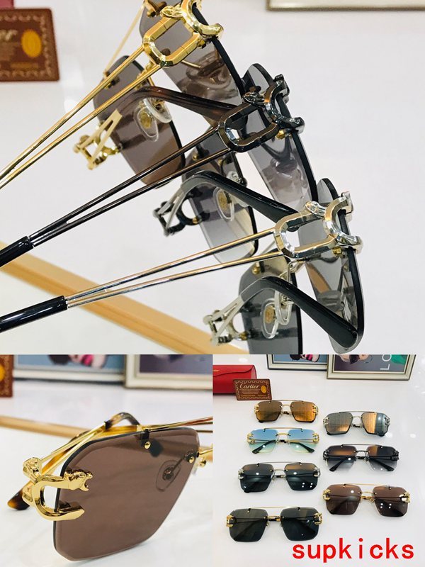 Lifestyle view of Cartier unisex sunglasses