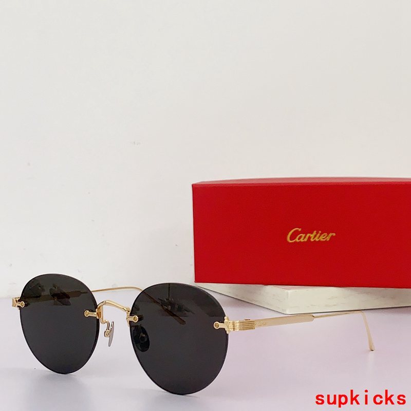 Close-up detail view of Cartier unisex sunglasses