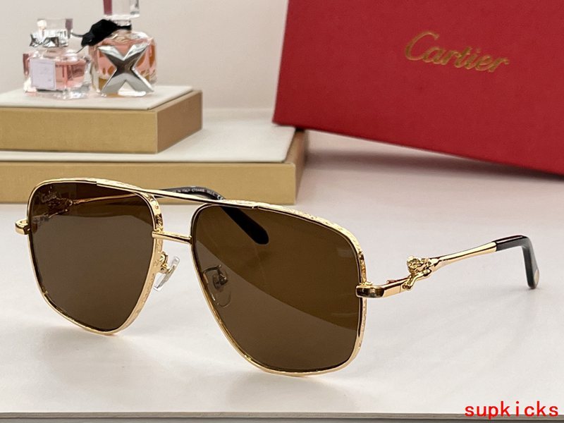 Front view of Cartier unisex sunglasses