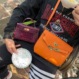  structured bag interior and compartment view