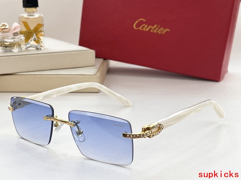 Side view of Cartier unisex sunglasses