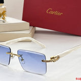 Side view of Cartier unisex sunglasses