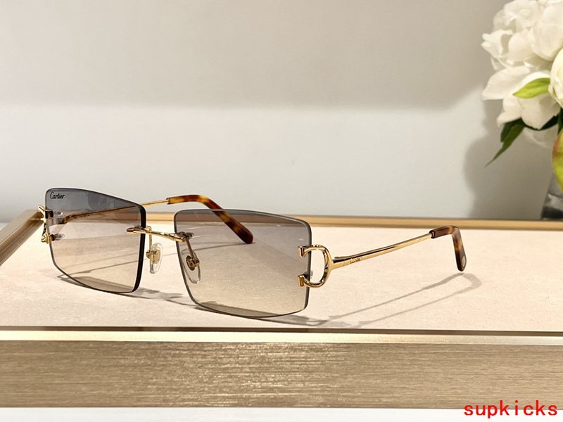 Close-up detail view of Cartier unisex sunglasses
