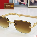 Close-up detail view of Cartier unisex sunglasses