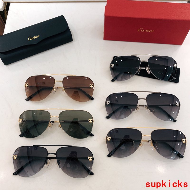 Close-up detail view of Cartier unisex sunglasses