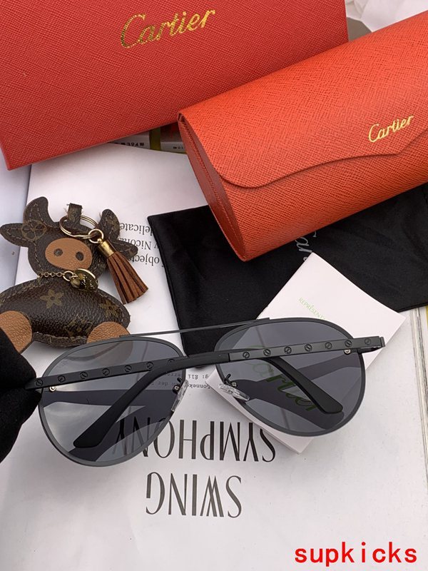 Side view of Cartier unisex sunglasses