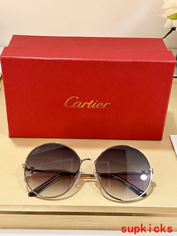 Lifestyle view of Cartier unisex sunglasses