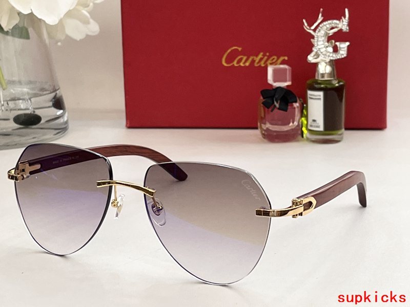 Close-up detail view of Cartier unisex sunglasses