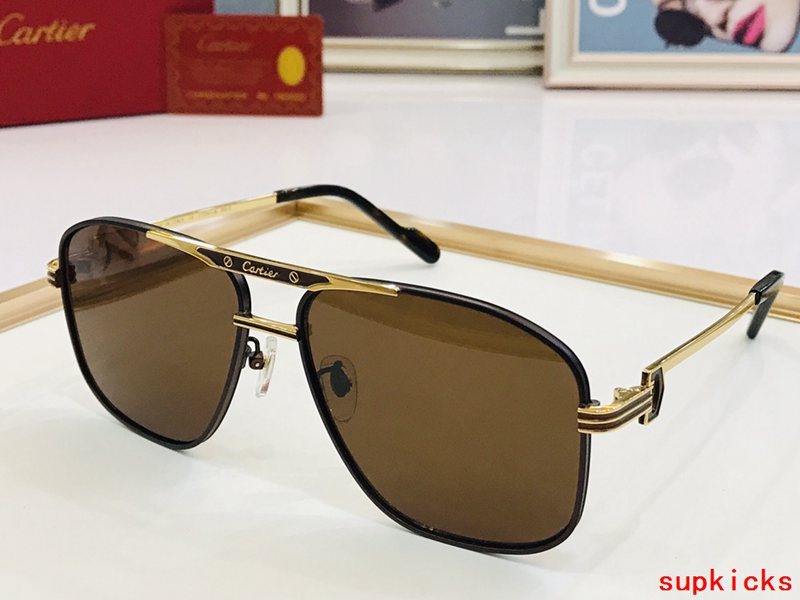 Close-up detail view of Cartier unisex sunglasses