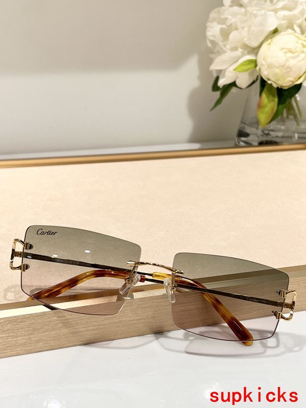 Front view of Cartier unisex sunglasses