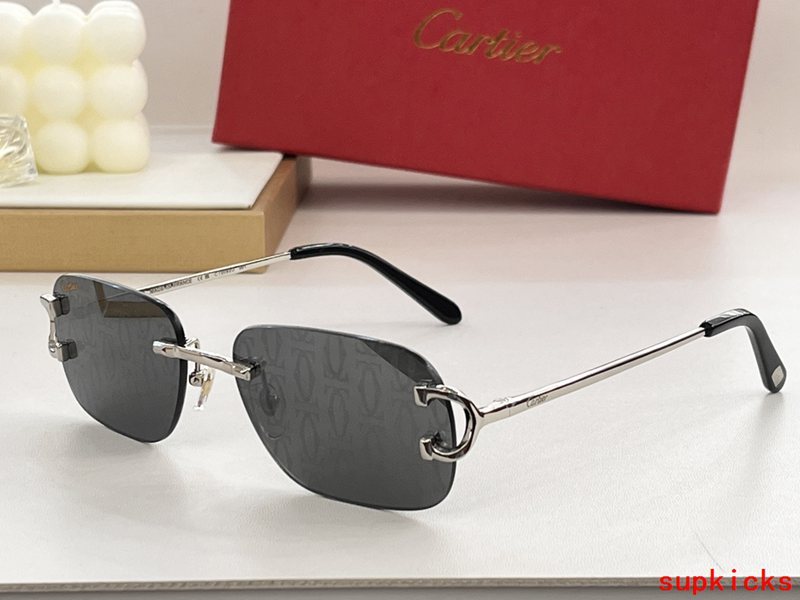 Front view of Cartier unisex sunglasses