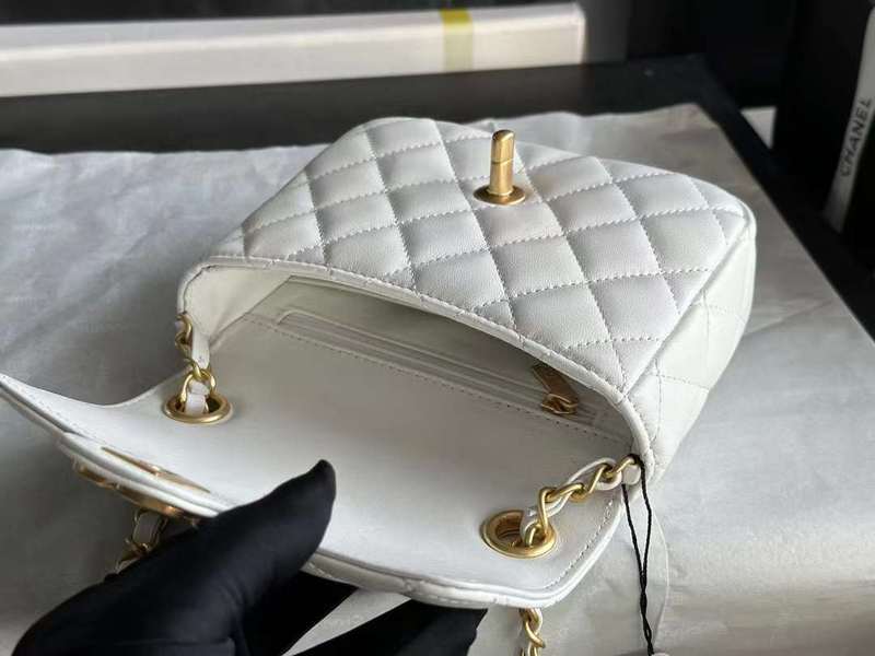 Zivas Charm Sleek Silhouette Everyday Handbag (Versatile Style Statement) – Close-Up Detail