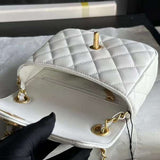 Zivas Charm Sleek Silhouette Everyday Handbag (Versatile Style Statement) – Close-Up Detail