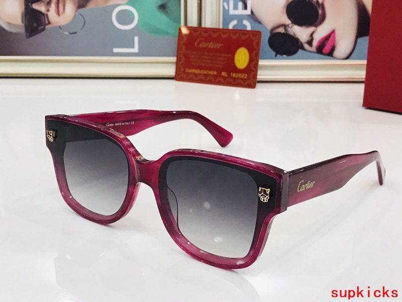 Close-up detail view of Cartier unisex sunglasses