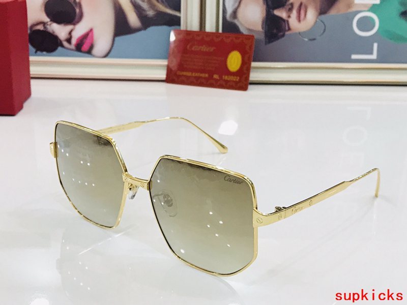 Side view of Cartier unisex sunglasses