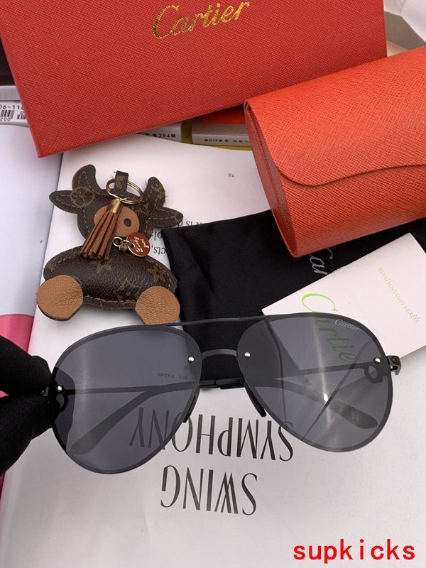 Close-up detail view of Cartier unisex sunglasses