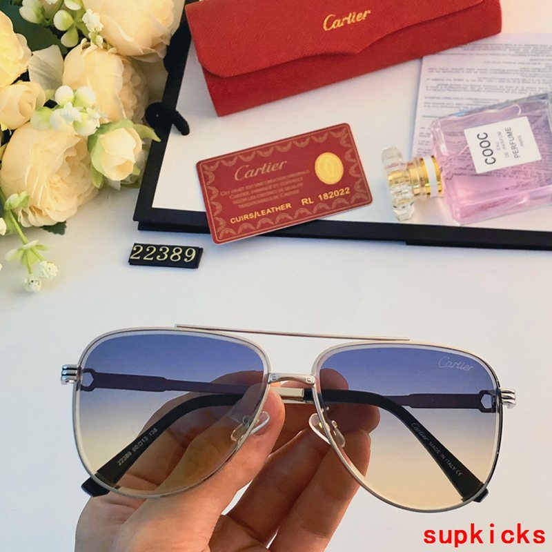 Front view of Cartier unisex sunglasses
