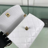 Zivas Charm Versatile Design Fashion Handbag (Versatile Style Statement) – Full Silhouette