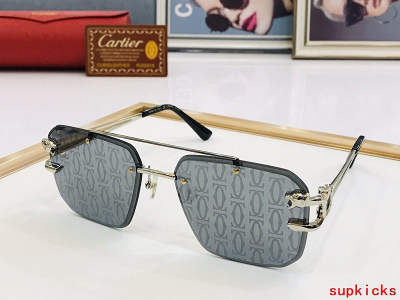 Front view of Cartier unisex sunglasses