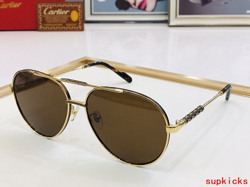 Close-up detail view of Cartier unisex sunglasses