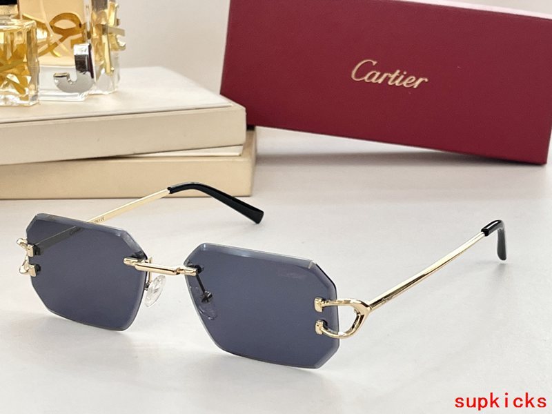 Close-up detail view of Cartier unisex sunglasses