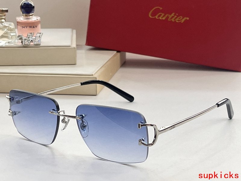 Full view of Cartier unisex sunglasses