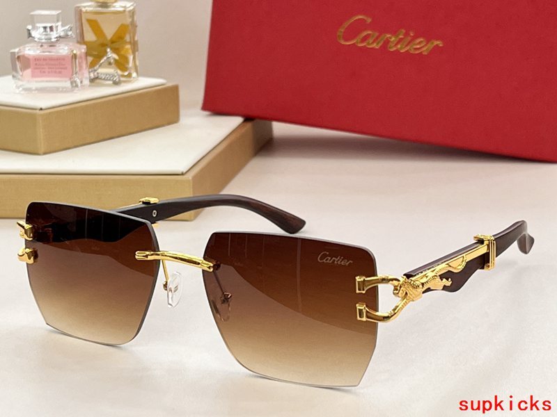Full view of Cartier unisex sunglasses
