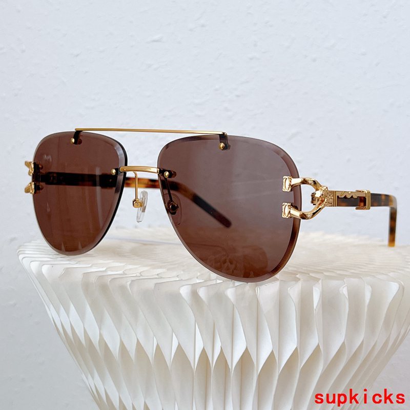Front view of Cartier unisex sunglasses